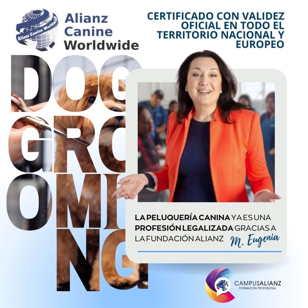 _PROFESION PELUQUERÍA CANINA YA ESTÁ LEGALIZADAEste certificado tiene validez oficial en todo el territorio nacional y Europeo.