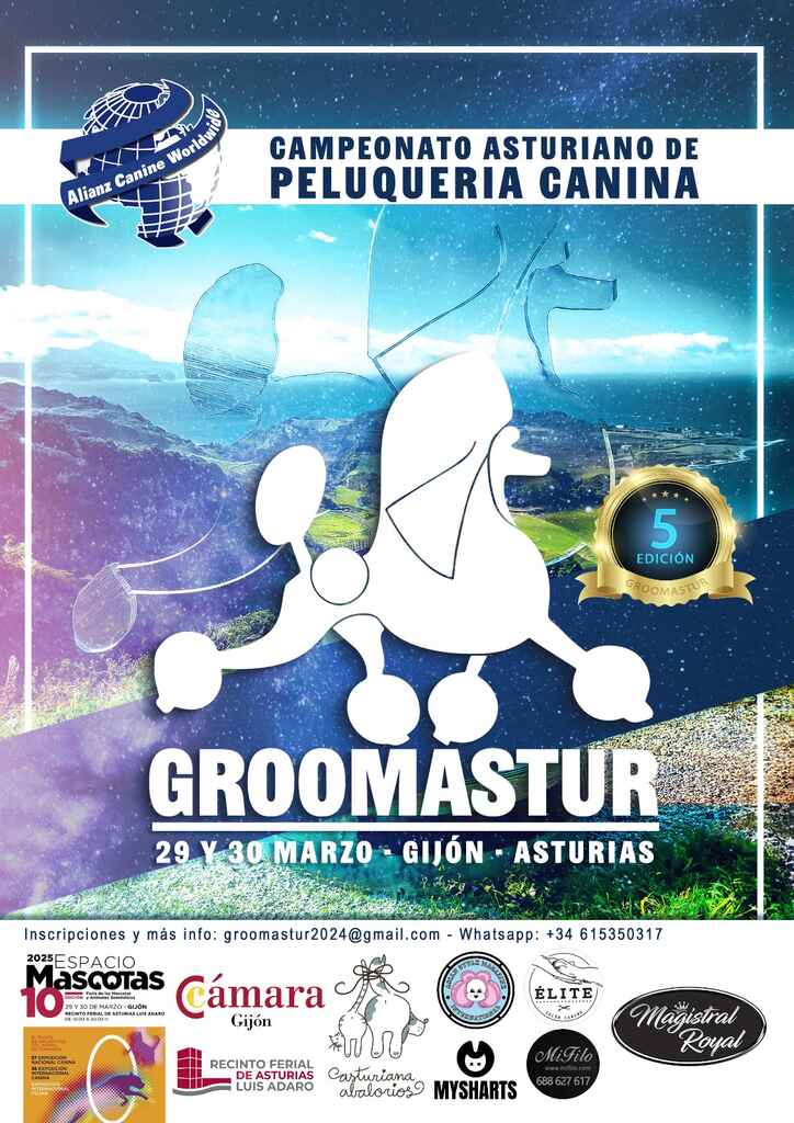 Campeonato GroomAstur