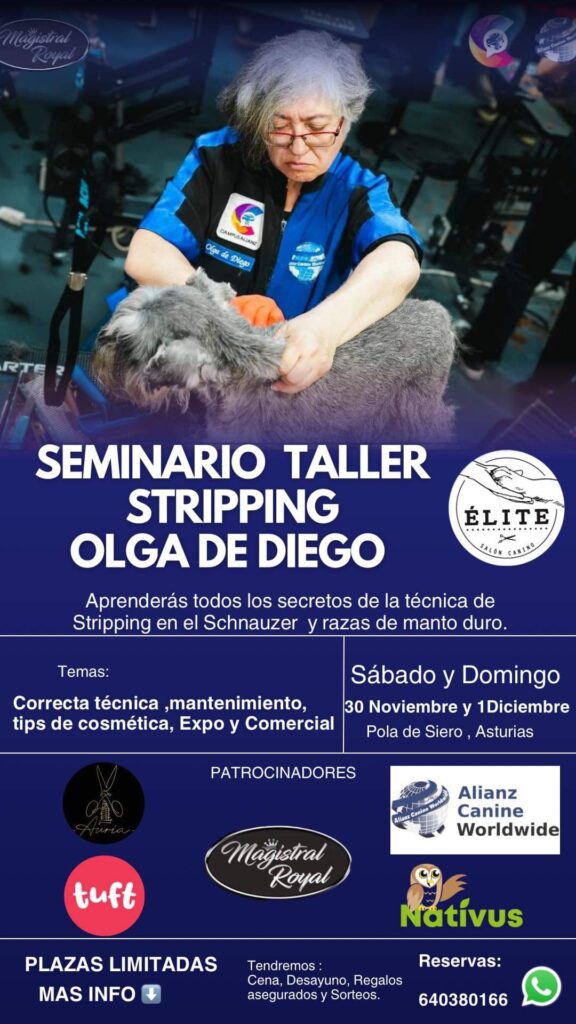 Seminario peluqueria canina con Olga de Diego